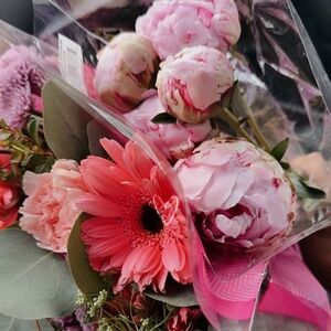 Meet your Posher, Nina